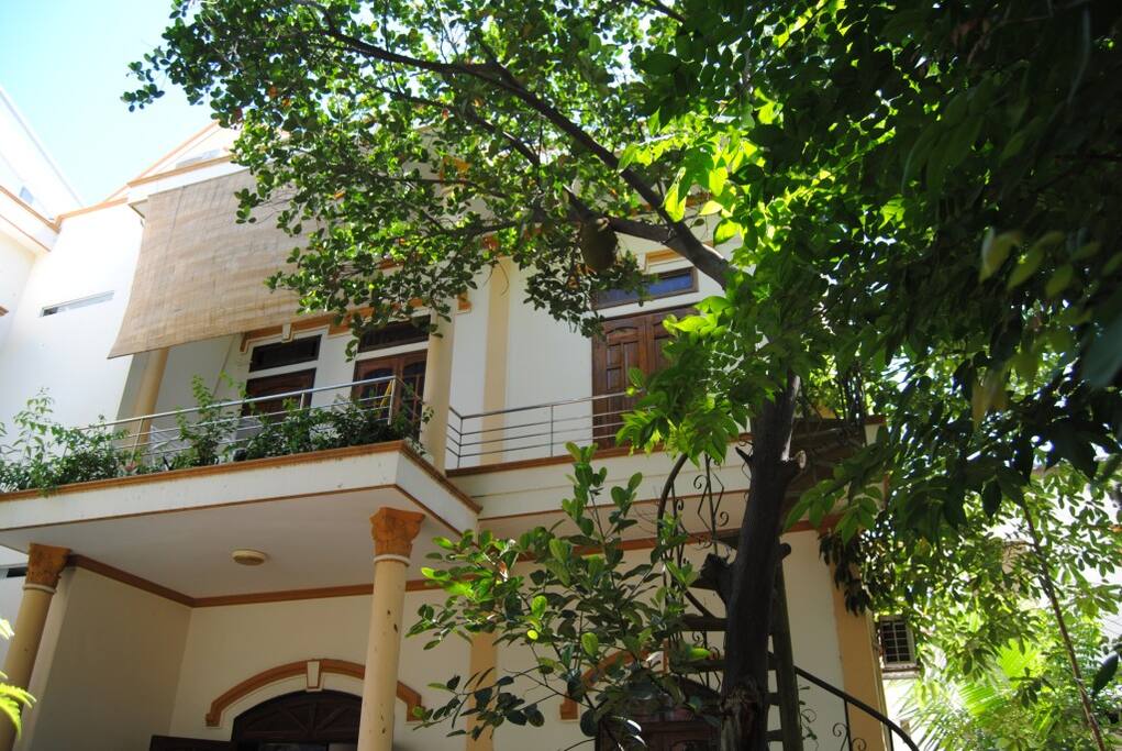 surround by tropical garden