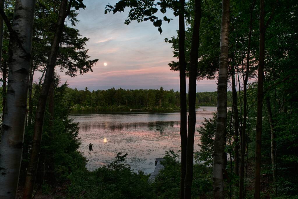 View from the deck