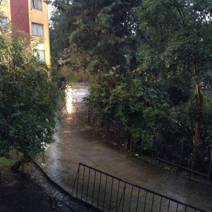 Vista desde la sala