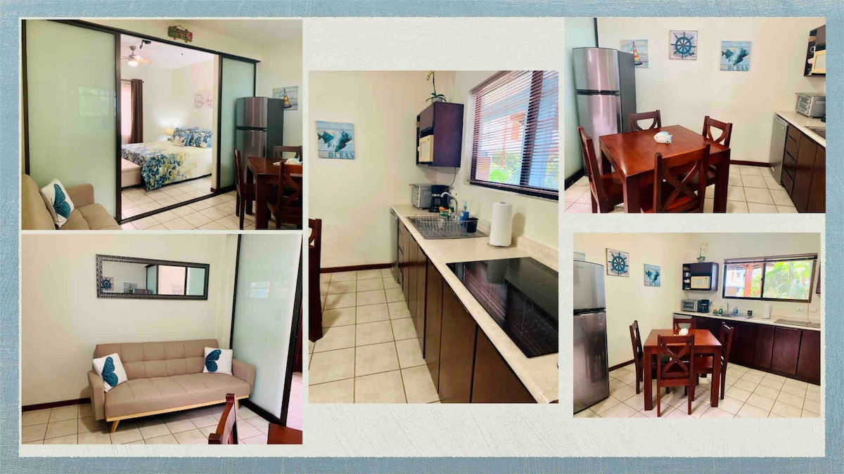 The studio features a combined living and sleeping area with a sofa bed and a queen bed separated by a sliding door. A small kitchen equipped with essential appliances is visible. A dining table with four chairs complements the layout. Ample natural light comes through the windows.