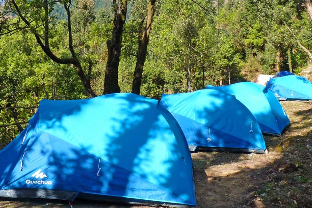 jungle camping