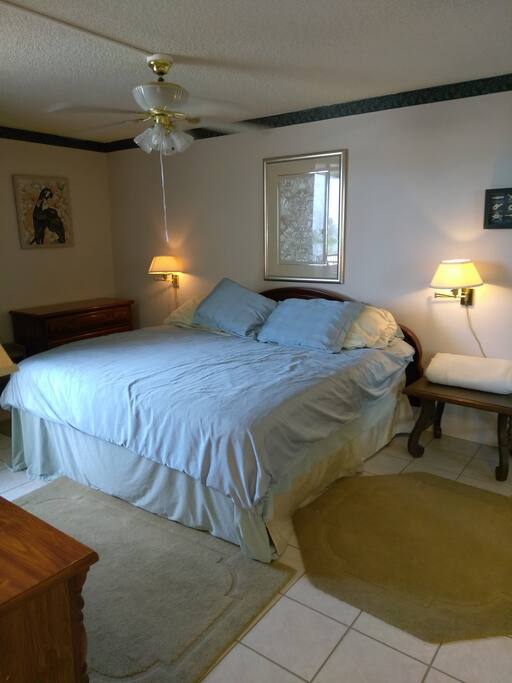Master bedroom - King