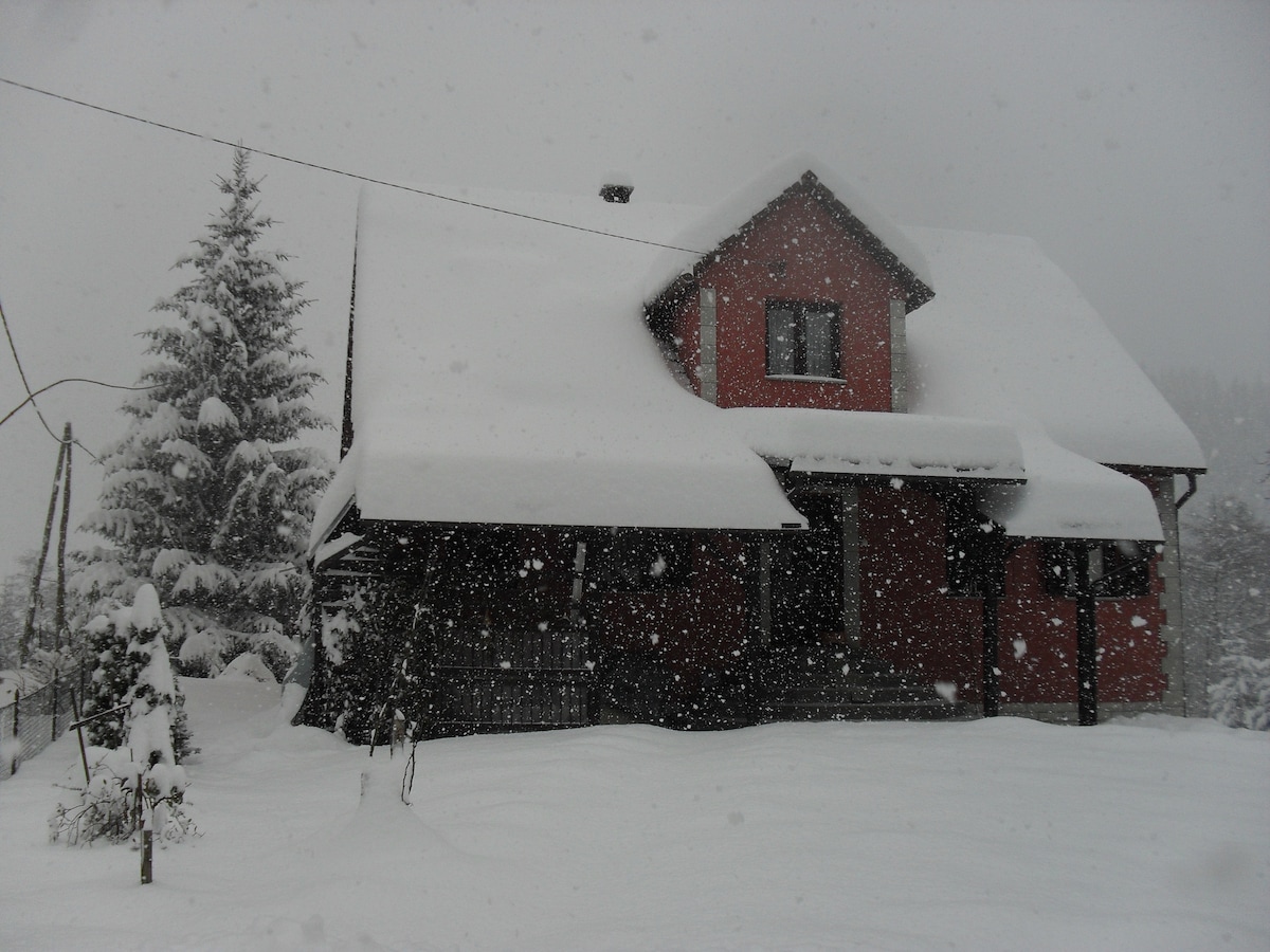 A red house with a sloped roof is blanketed by thick snow, surrounded by tall evergreen trees. The scene captures falling snowflakes, creating a serene winter atmosphere. A covered porch features several seats, emphasizing a cozy entrance amidst the snowy landscape.