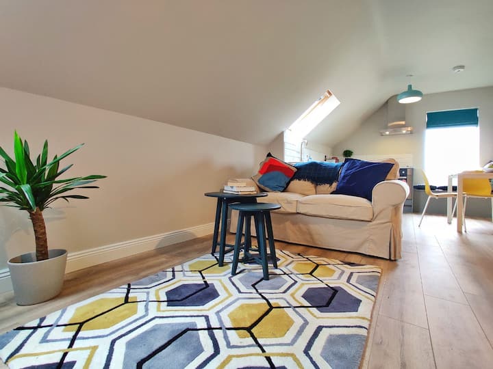 CarrickOnShannon locations de vacances et logements County