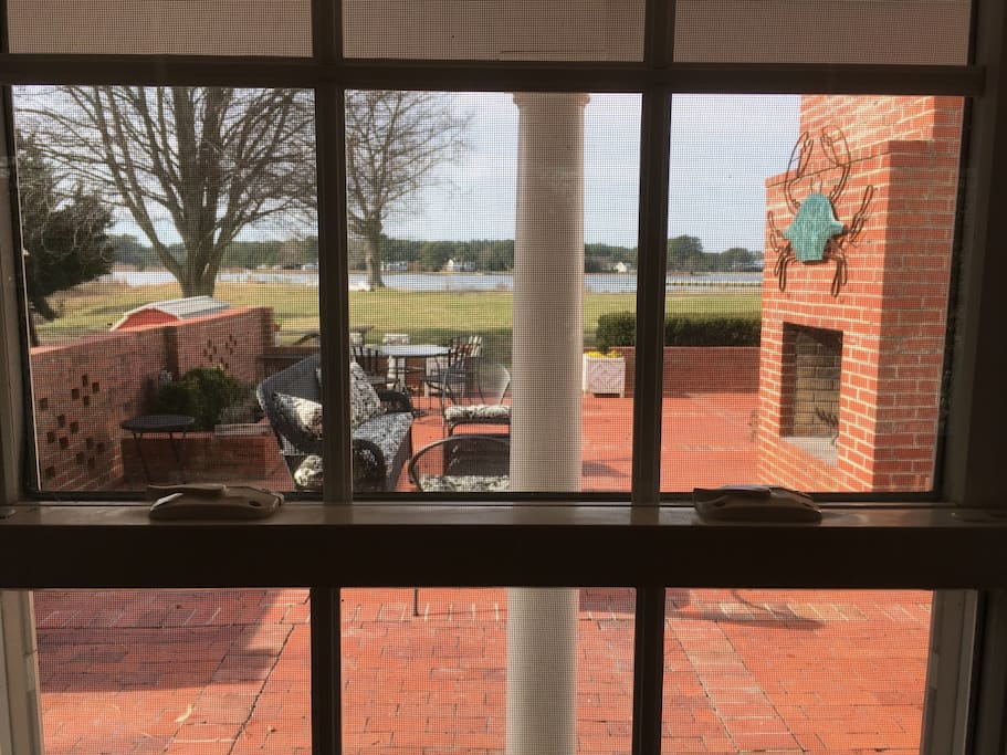 The view from the cottage window.