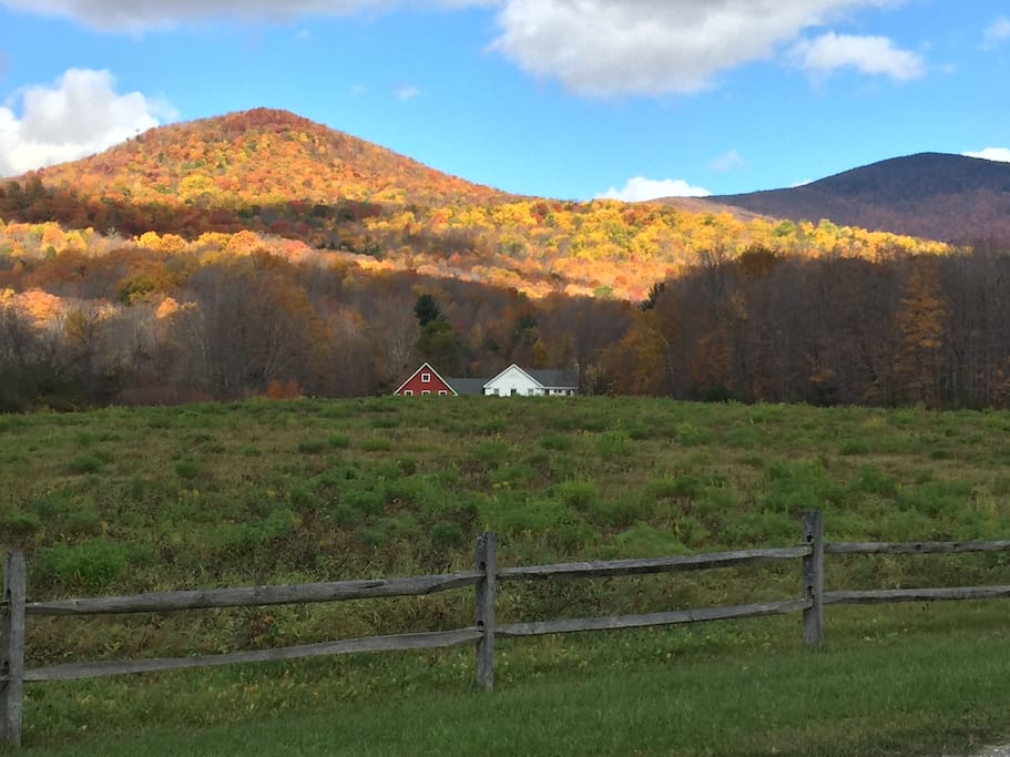 View of Kirby Hollow, approaching this house- walk for miles in beauty and nature!