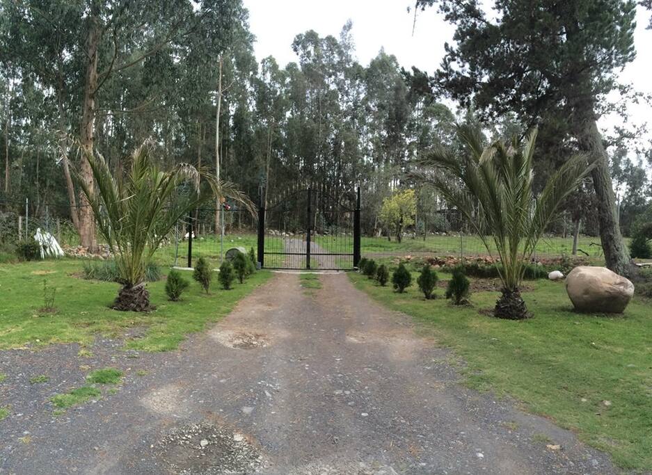 Entrada Principal