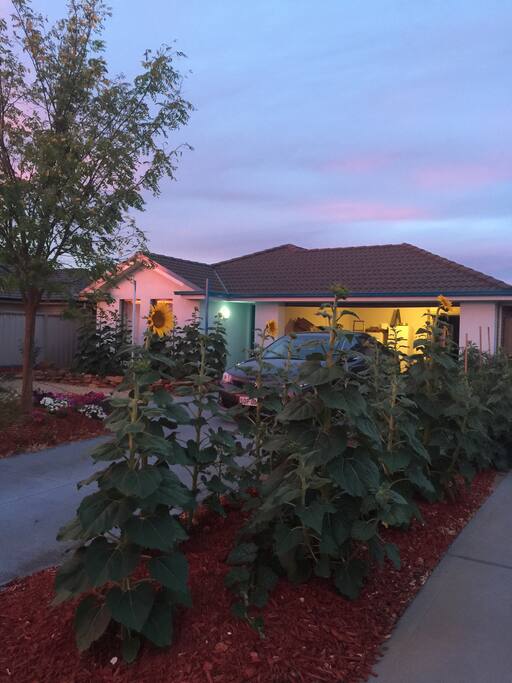 Springtime sunset.