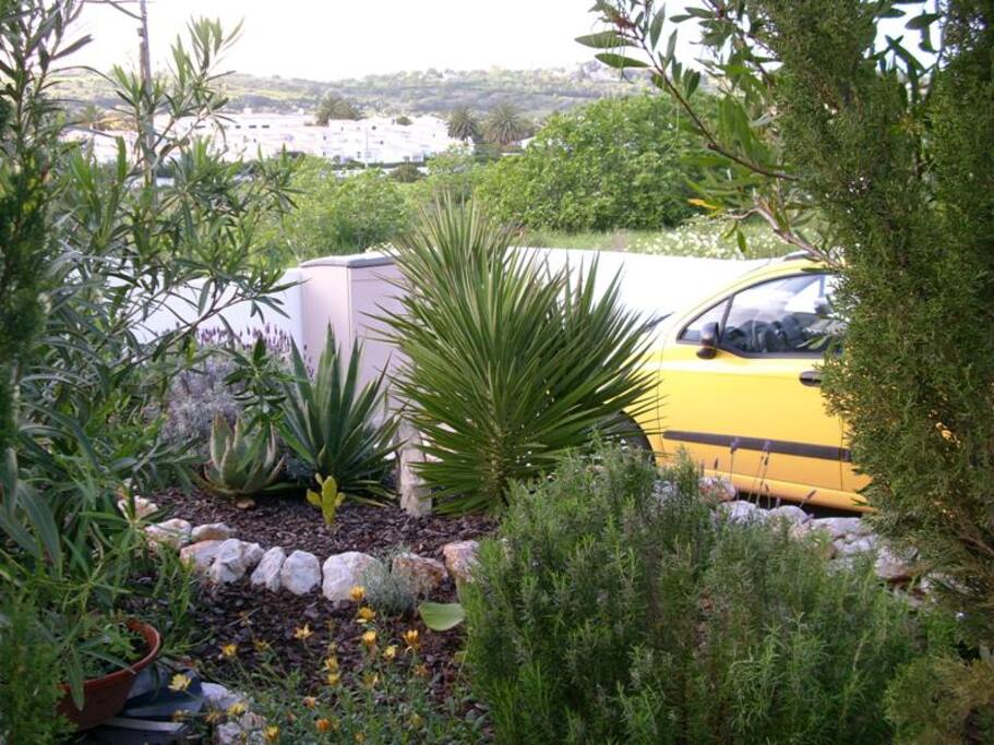 Garten