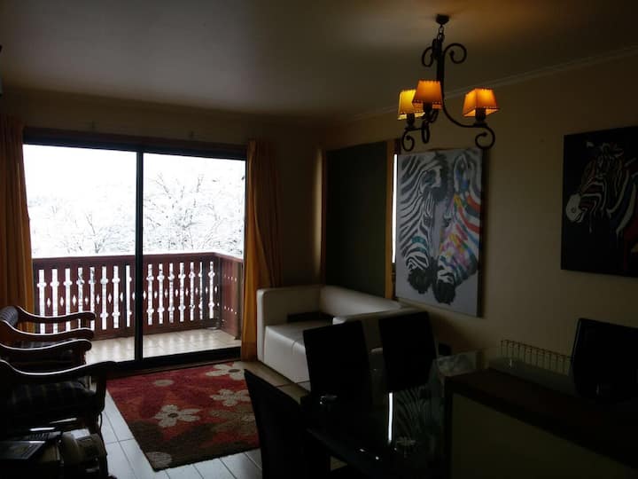 Apartment in Termas de Chillán