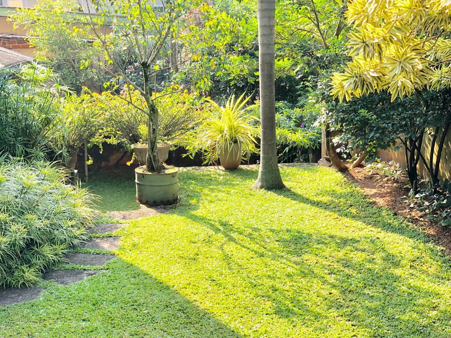 Garden bathed in Morning Sunlight
