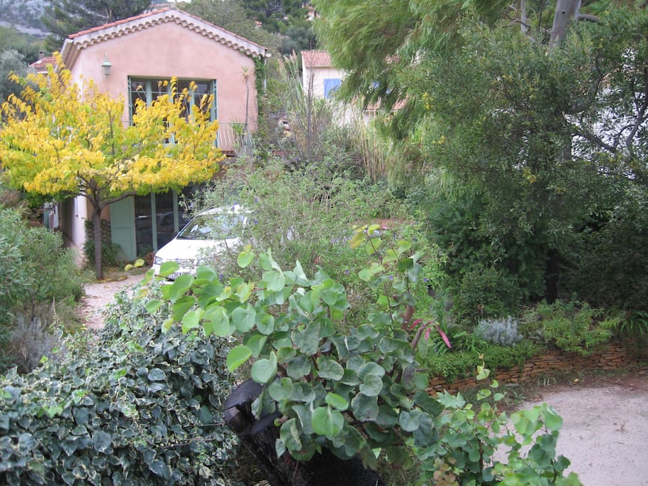 Vue villa et jardin