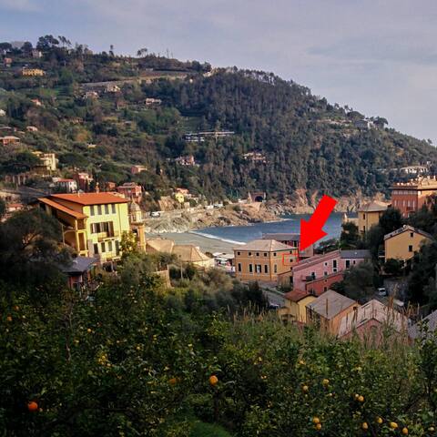 tipico monolocale marinaro Riviera Ligure