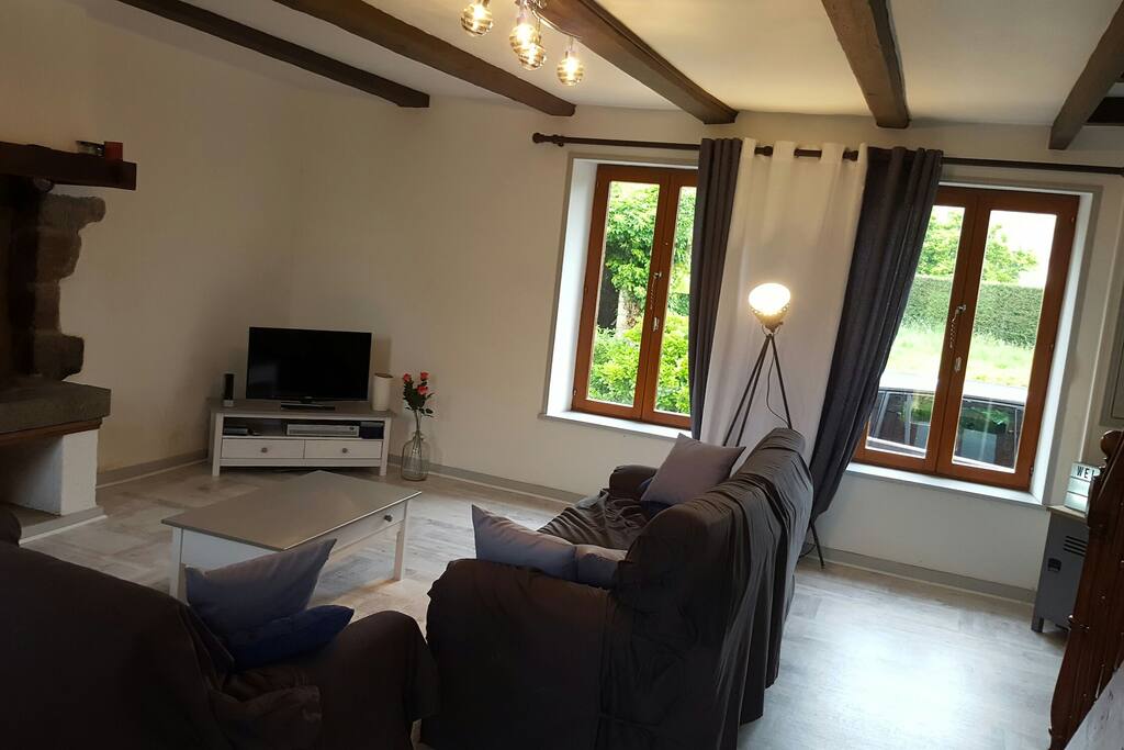 salon avec cheminée