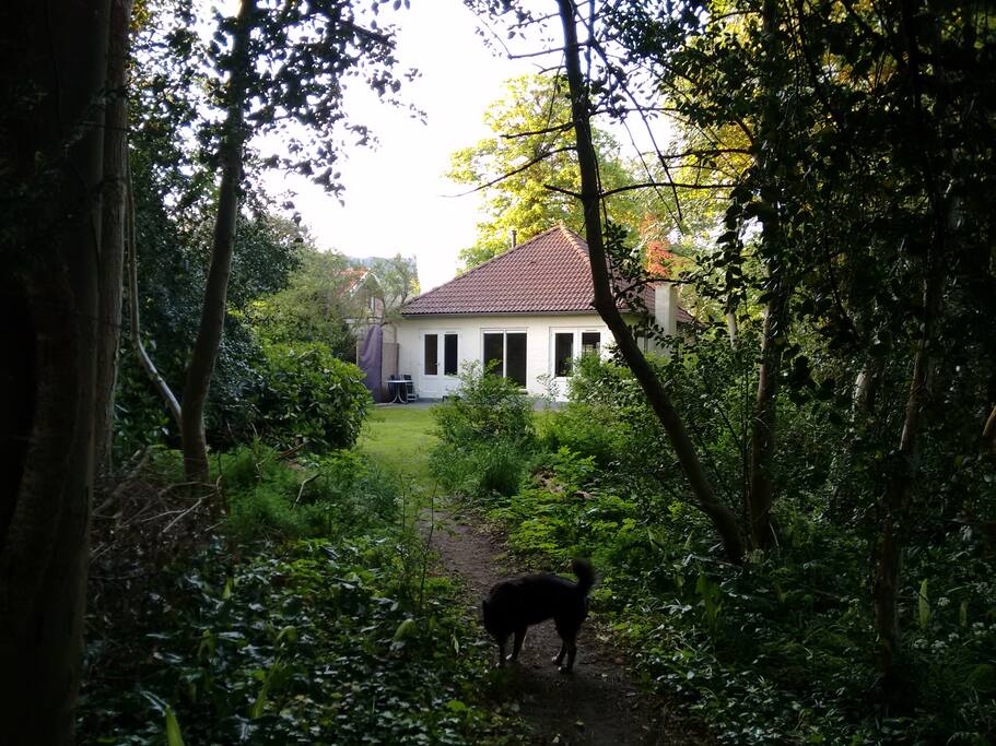 Achterkant huis