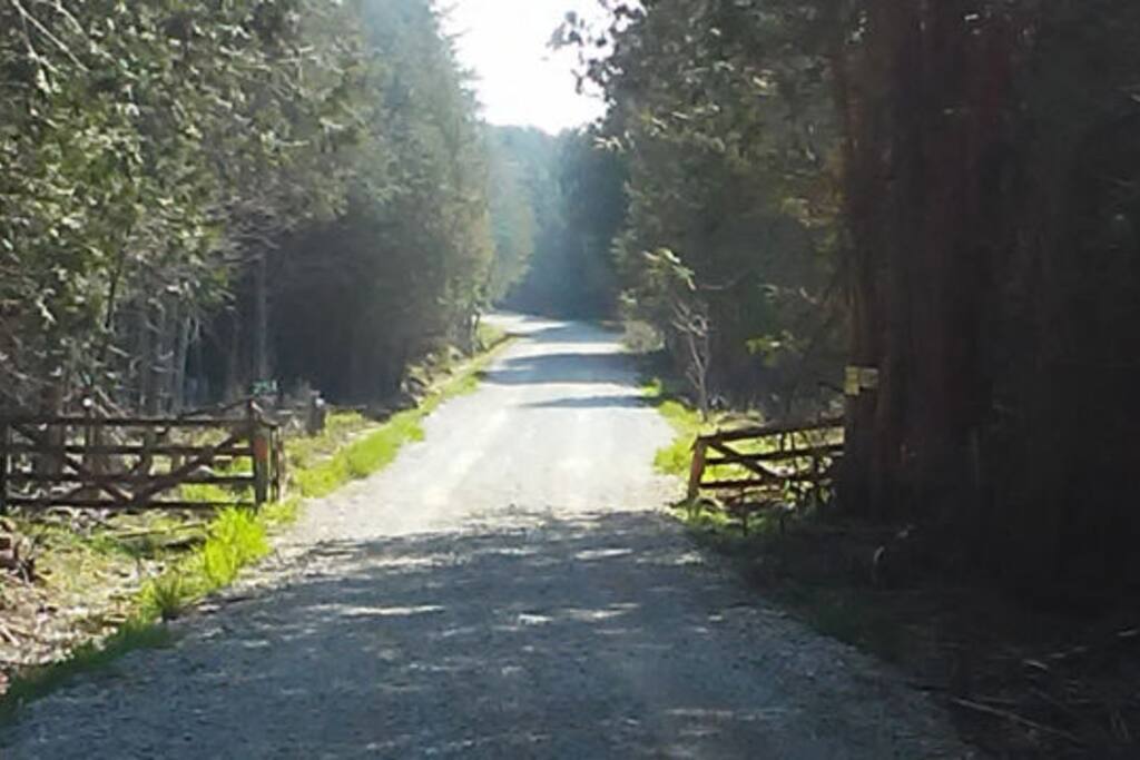 Located at the end of a dead-end road, up an 800 metre driveway, the farm is an ideal spot for a private getaway.