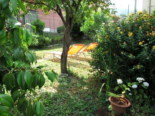 Guest favorite listing in La Spezia