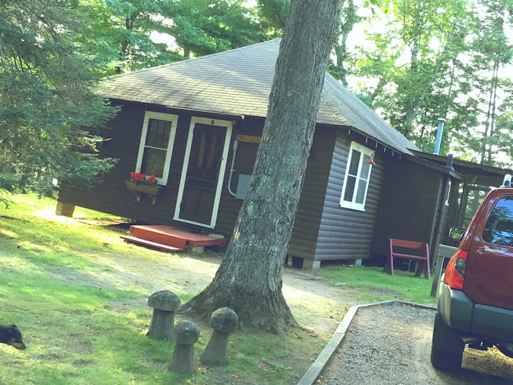 Mercer Cabin Rentals Cabins and More Airbnb