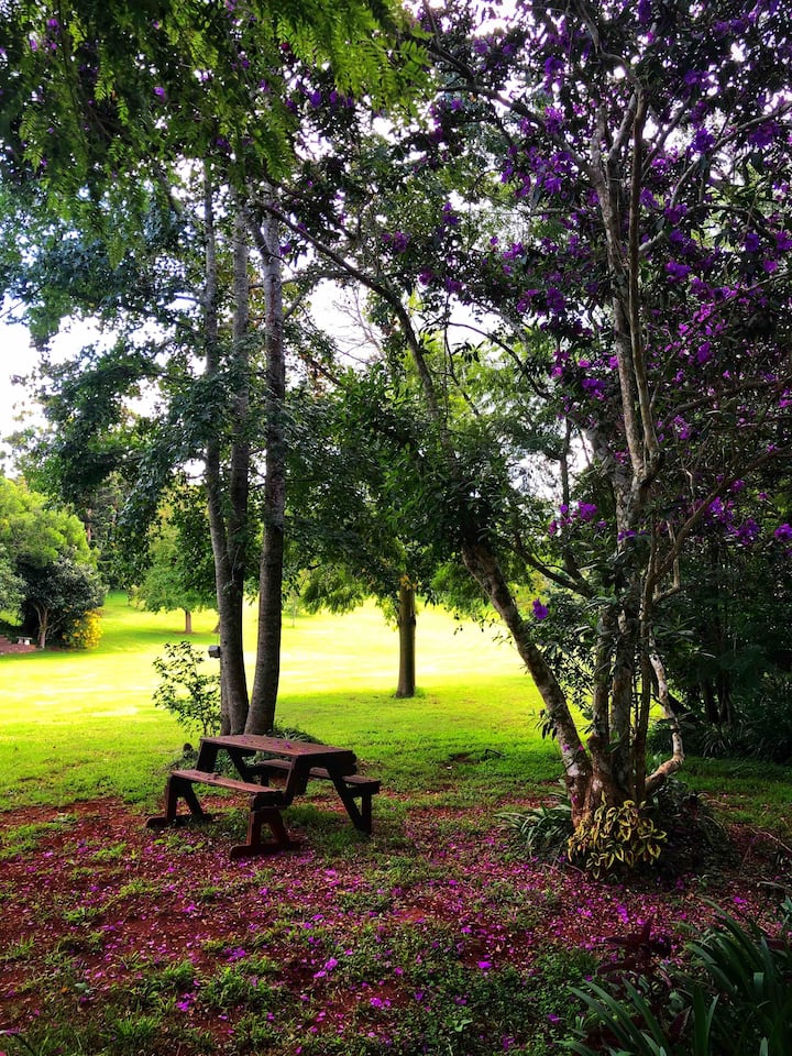 Top 18 Airbnb Vacation Rentals In Mount Tamborine, Australia Updated