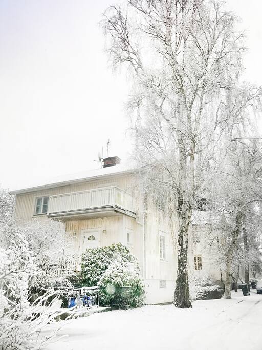 Lovely in the winter!