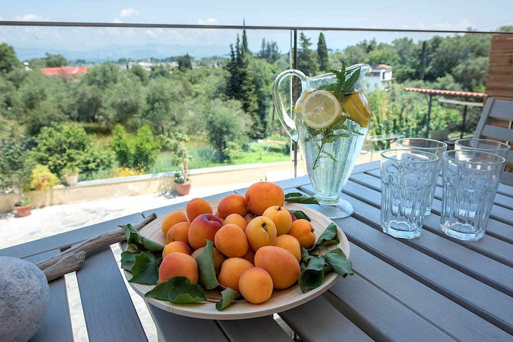Balcony Marina View