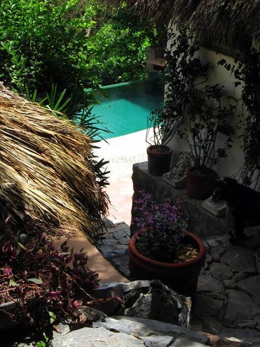 from entrance court to pool area