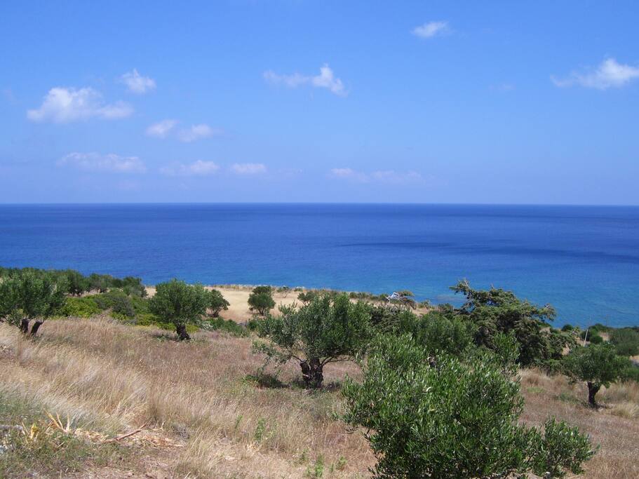 Cottage “Elaion”, view towards the Northeast.