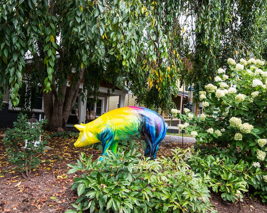 As you approach our home, you will see this beautiful artwork in our front garden. "The Dreamer" is a life-sized pig, hand painted by local artist Abbi Kay. It is part of the Meet your Neighbors campaign by Farm Sanctuary. "A pig raised on a factory farm will go her entire life without ever seeing the sky. Instead, she spends her life dreaming of the moment she walks outside and experiences the world for the first time." See #ThePigPicture or FarmSanctuary.org/neighbors