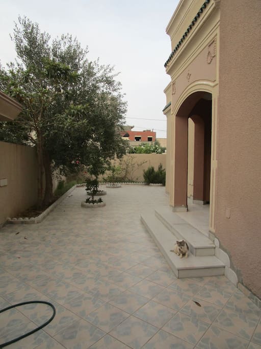 Vaste jardin