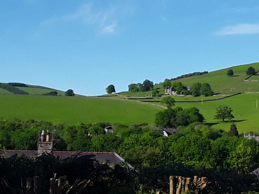View from the back garden