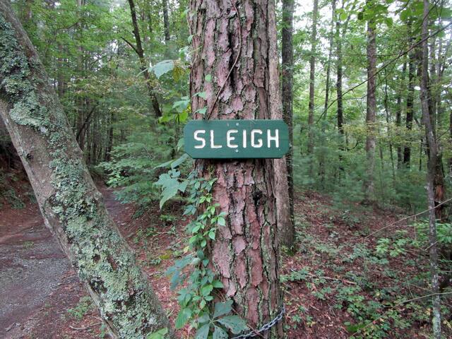 Sleigh with fireplace and hot tub