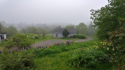 Woodlawn Hollow Cottage