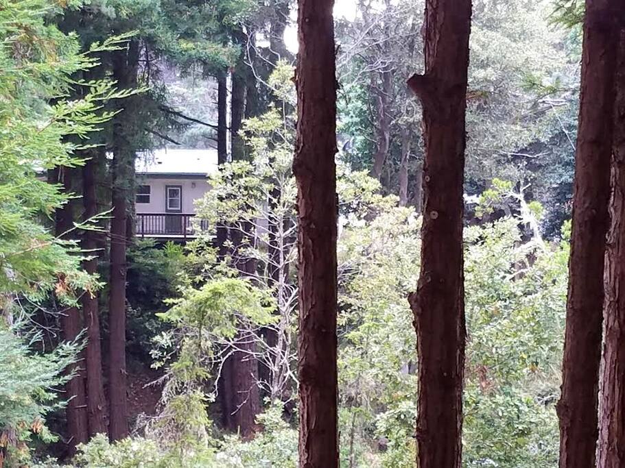 Everyone loves the ambiance and nature of our guesthouse! Photo on Sep. 03, 2017
