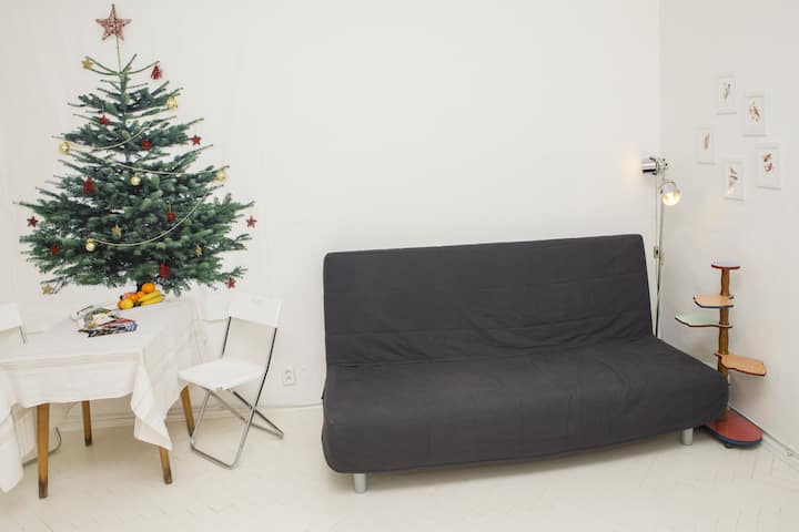 Petit Appartement à Une Chambre Situé Près Du Centre - Prága