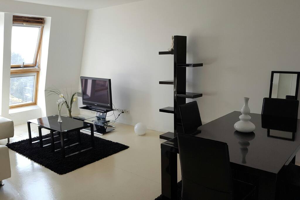 Salon/ séjour/Salle à manger