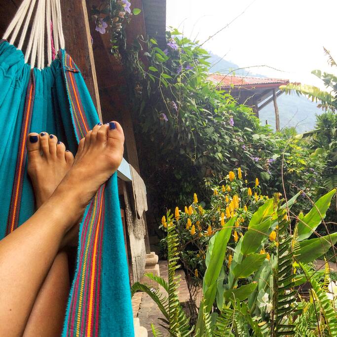 The hammock is the best spot for birdwatching. Fact.
