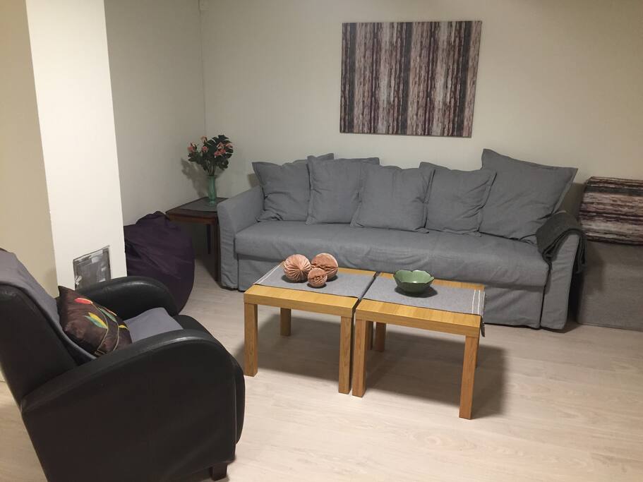 Living room with comfortable couch. Easily turned in to double bed. Duvets inside.
The footstool on the right, turns into a single bed.
