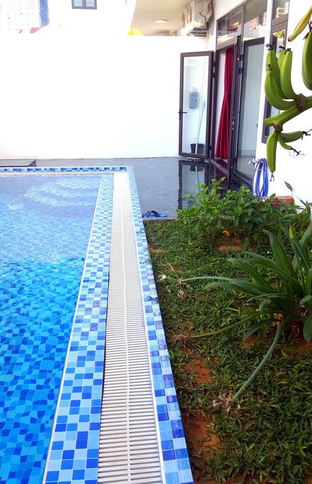 Private Pool and mini garden at the back yard