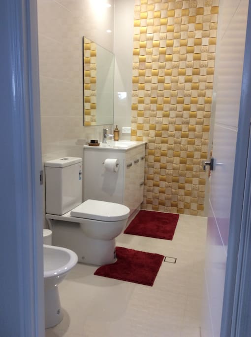 Luxury bathroom with bidet