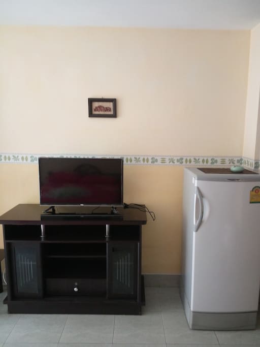 TV flat screen con programmi internazionali