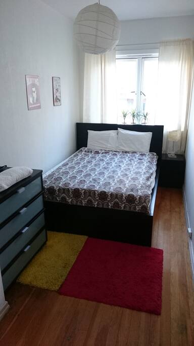 Guest Room Single