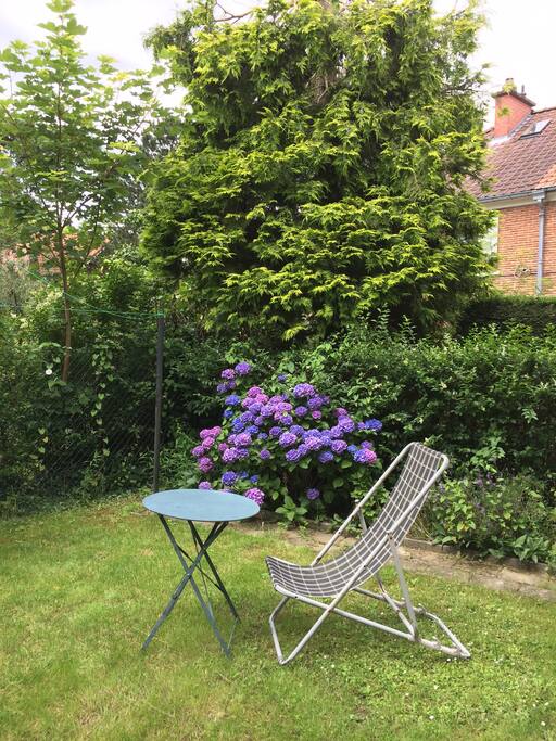 garden behind the house