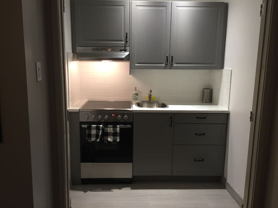 Newly remodeled kitchen