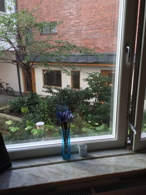 View from the Bedroom.