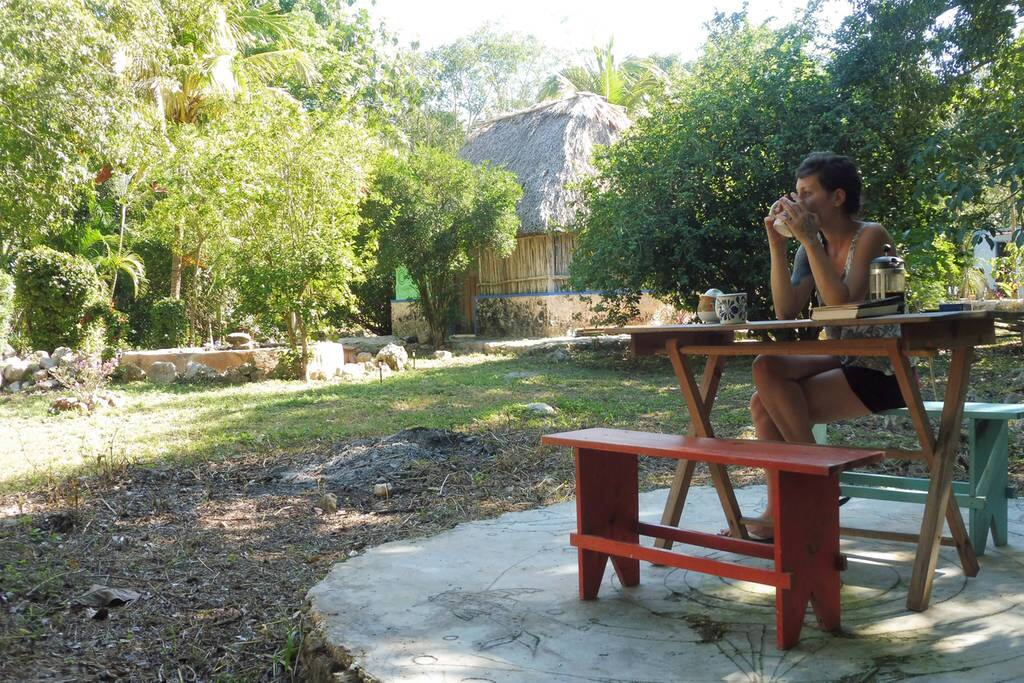 A cuppa in the garden