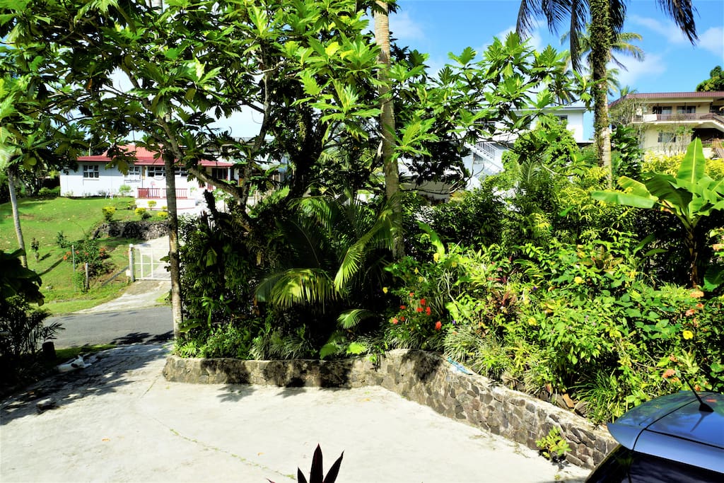 Apartments For Rent In Suva Fiji Apartments For Rent In Suva Fiji