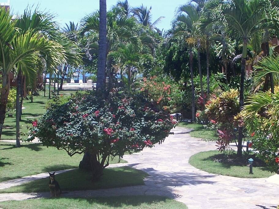 Condo complex