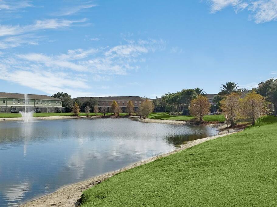 Lake view