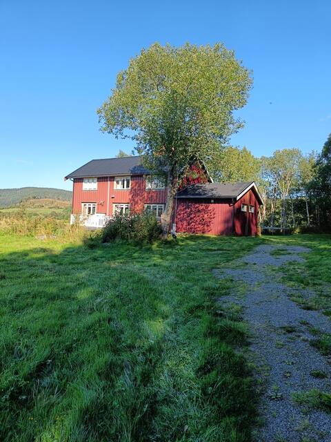 Cozy house in a fantastic location. in the city center.