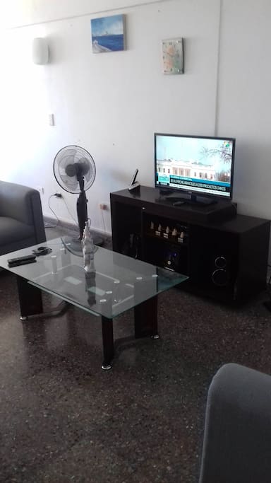 SALA DEL APARTAMENTO